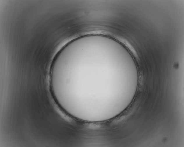 X0000102230890200807250806