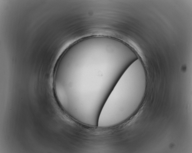 X0000102230891200807250806