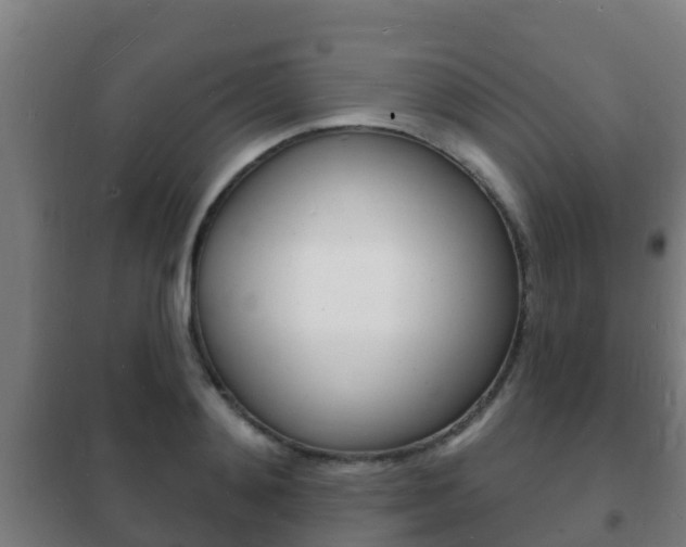 X0000102230892200807250806