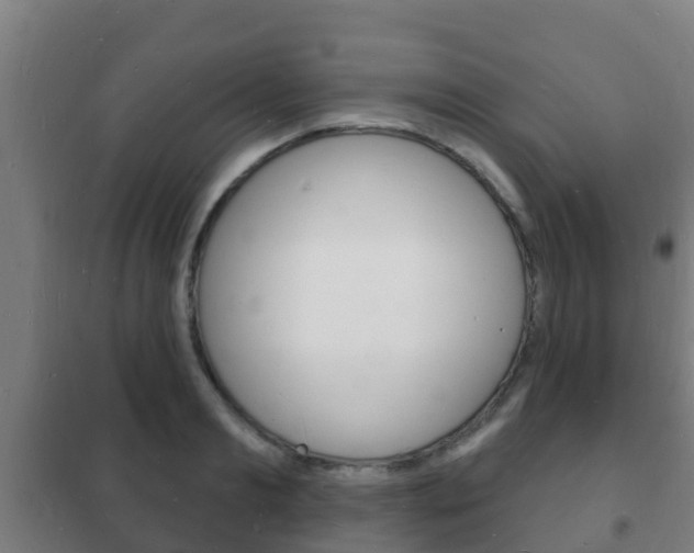 X0000102230893200807250806