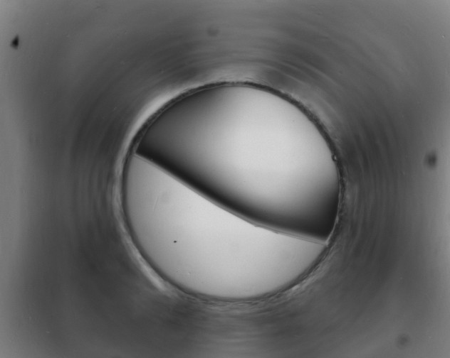 X0000102230894200807250806