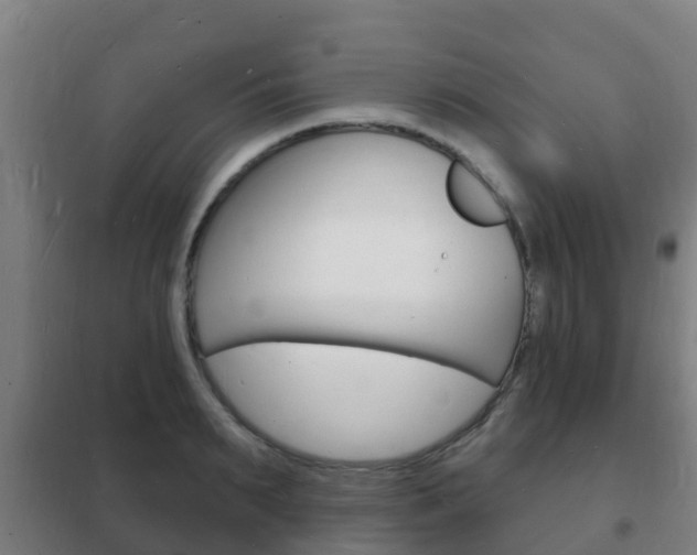 X0000102230895200807250806
