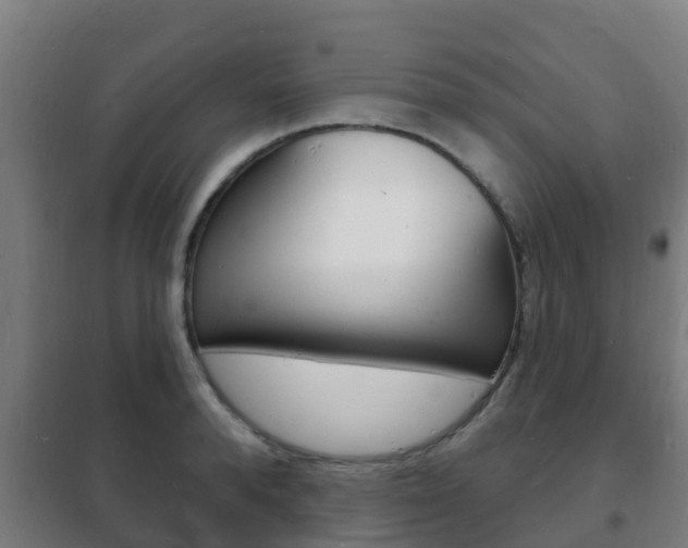 X0000102230896200807250806