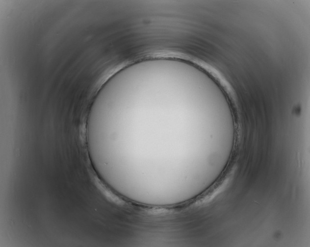X0000102230897200807250806