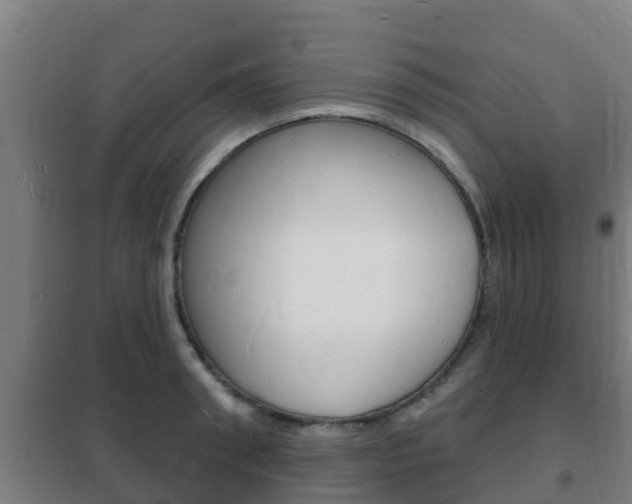 X0000102230898200807250806