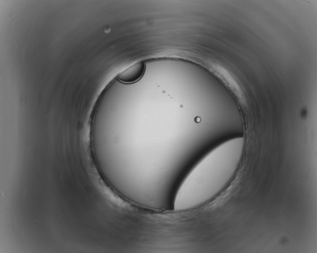 X0000102230900200807250806