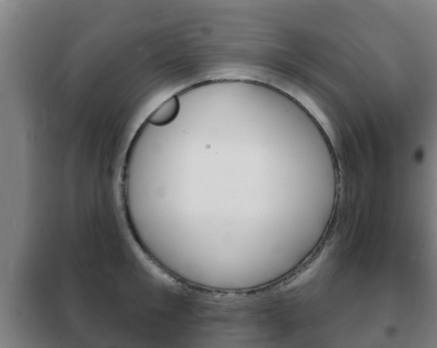 X0000102230901200807250806