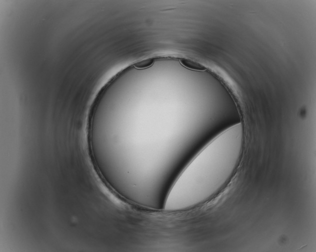 X0000102230902200807250806