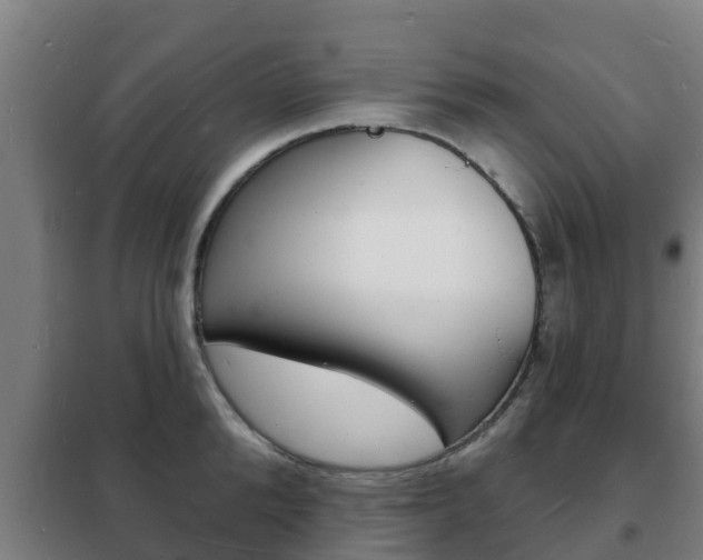 X0000102230904200807250806