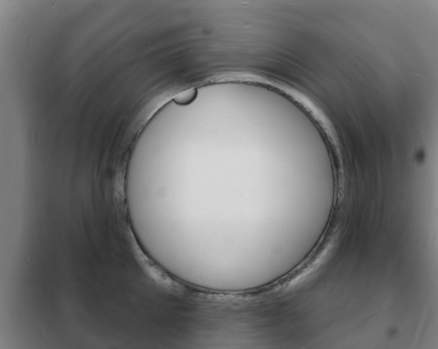 X0000102230905200807250806