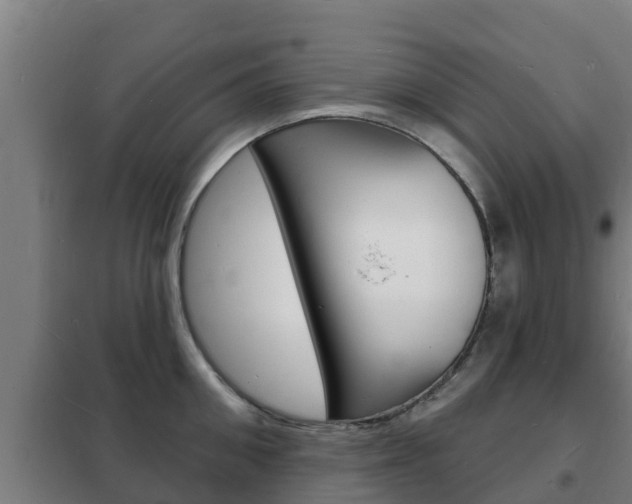 X0000102230906200807250806