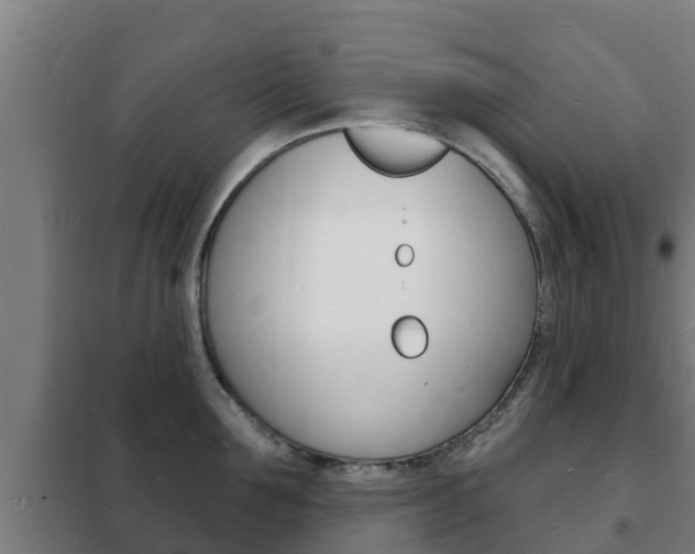 X0000102230907200807250806