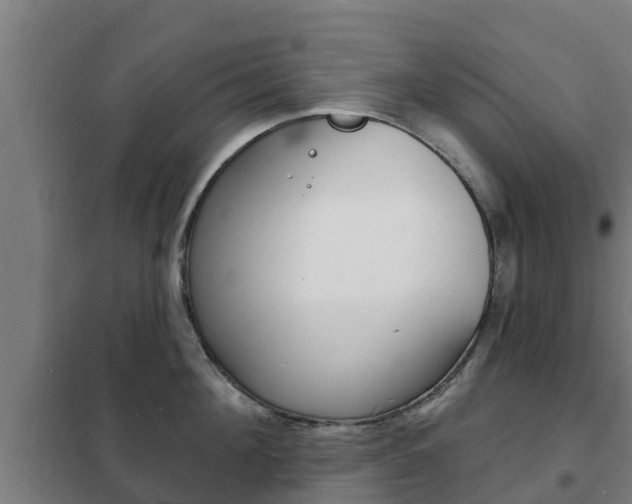 X0000102230908200807250806