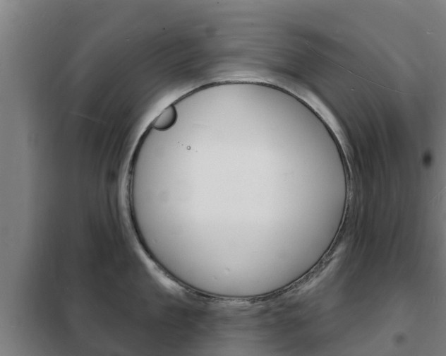 X0000102230909200807250806