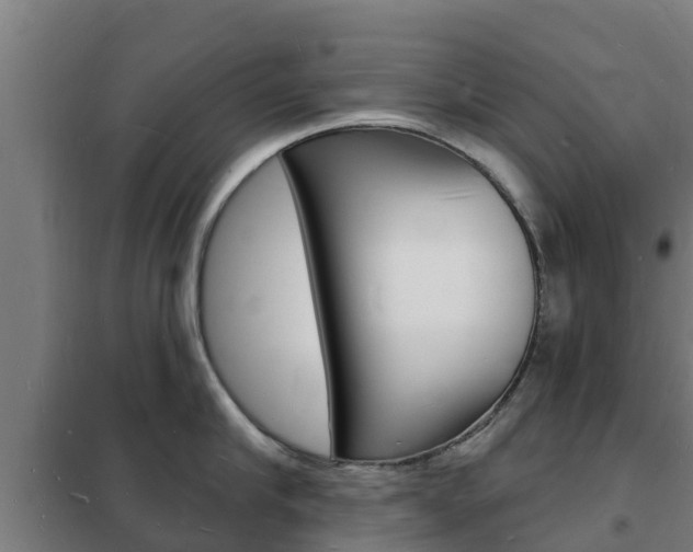 X0000102230910200807250806