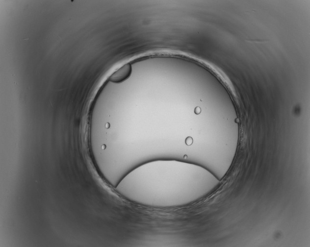 X0000102230911200807250806