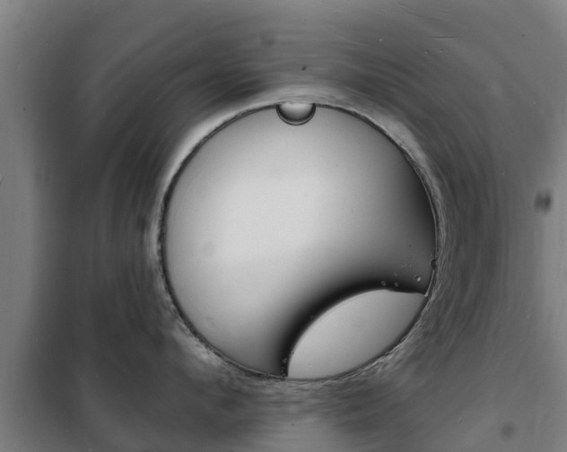 X0000102230912200807250806