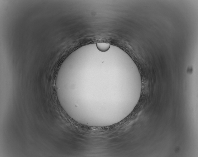 X0000102230913200807250805
