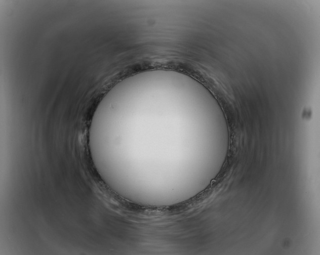 X0000102230914200807250805