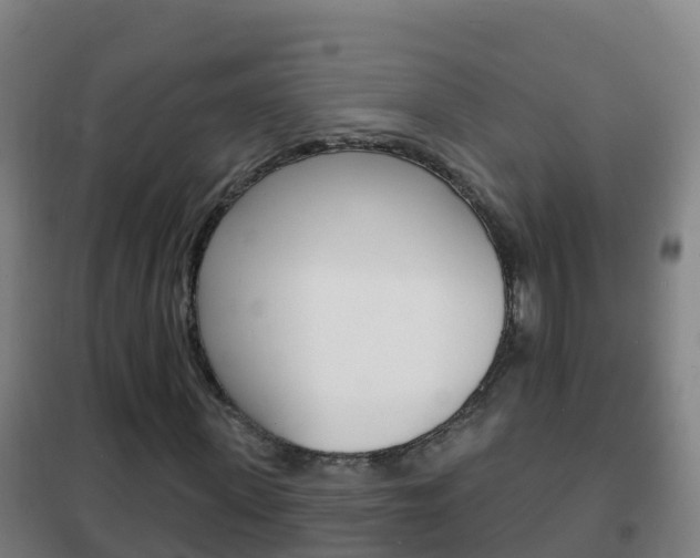 X0000102230915200807250805