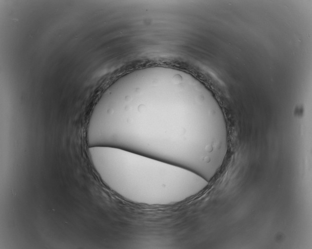 X0000102230917200807250805