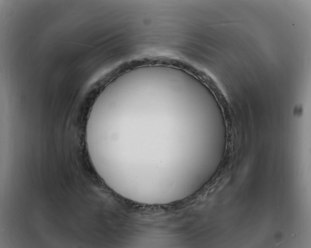 X0000102230919200807250805