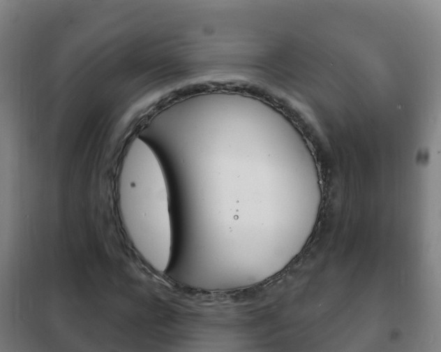 X0000102230920200807250805