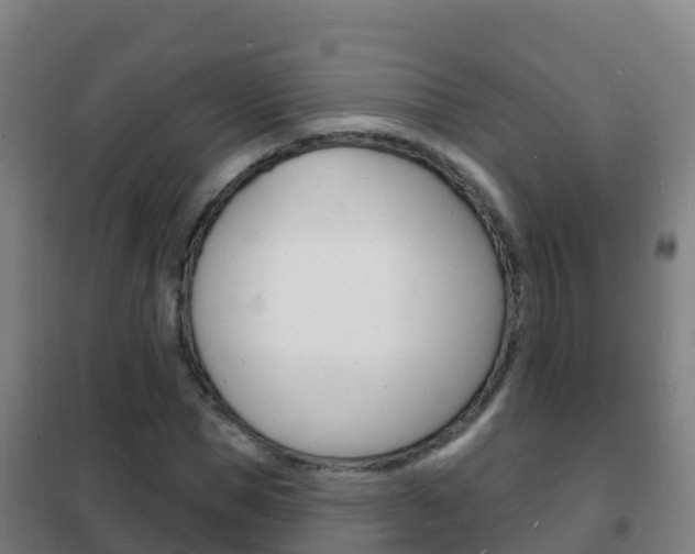 X0000102230921200807250805