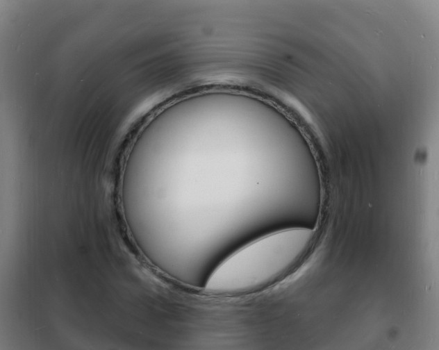 X0000102230922200807250805