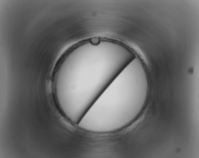 X0000102230924200807250805