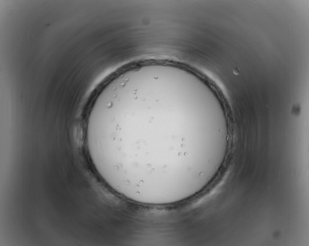 X0000102230925200807250805