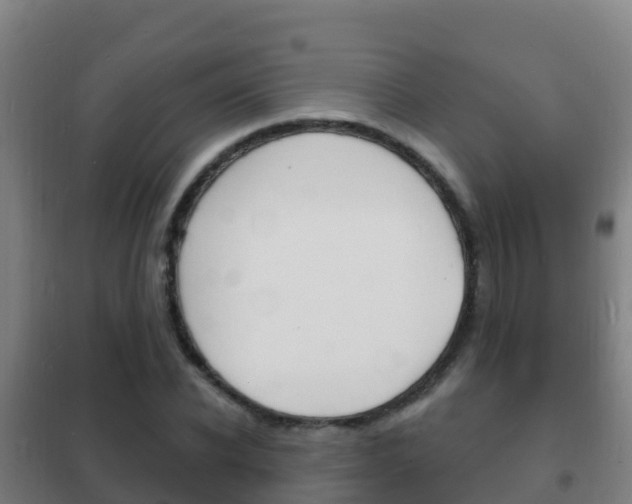X0000102230926200807250805