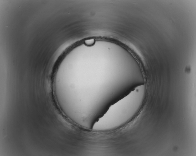 X0000102230927200807250805