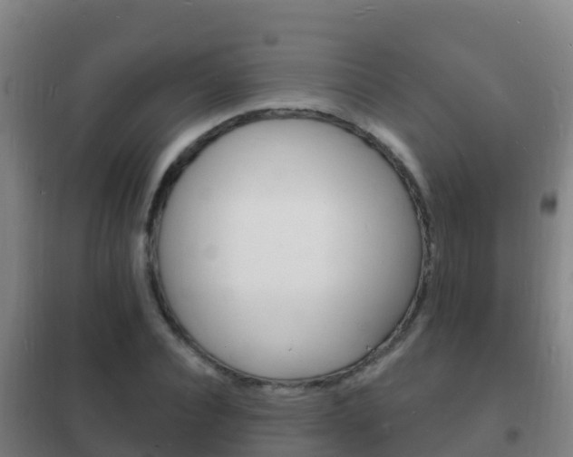 X0000102230928200807250805