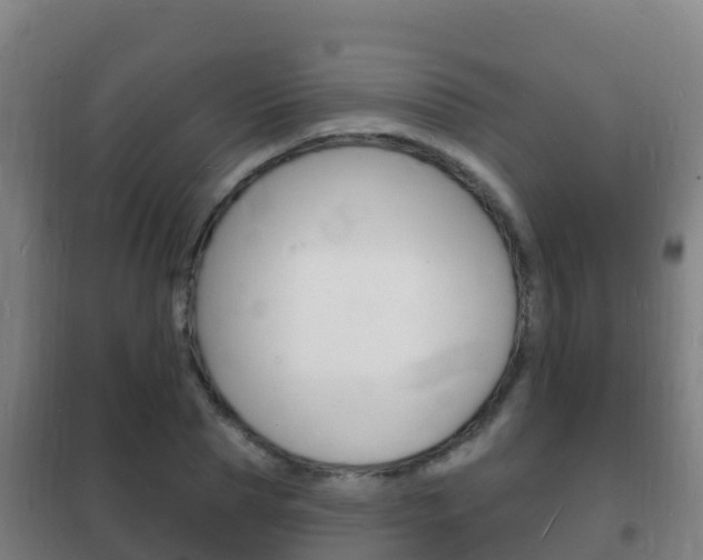 X0000102230929200807250805