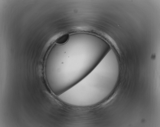 X0000102230930200807250805