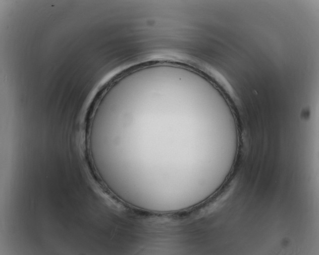 X0000102230931200807250805