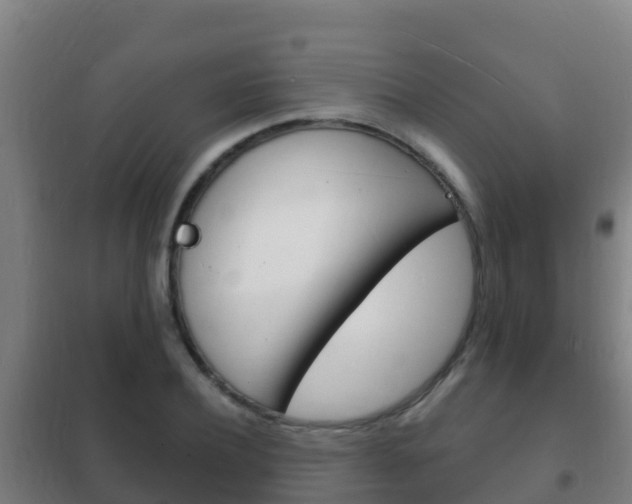 X0000102230932200807250805