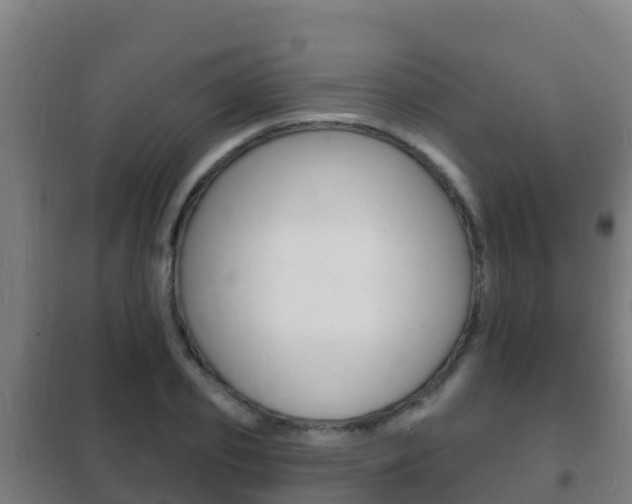 X0000102230933200807250805