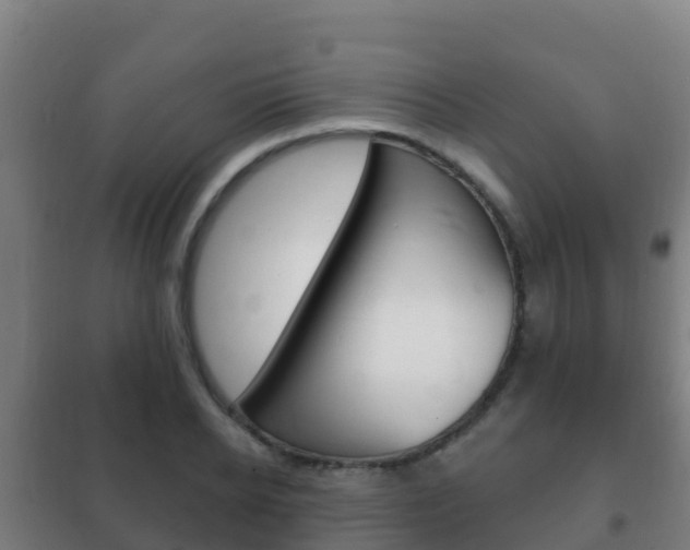 X0000102230934200807250805