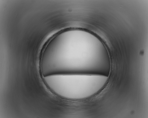 X0000102230935200807250805