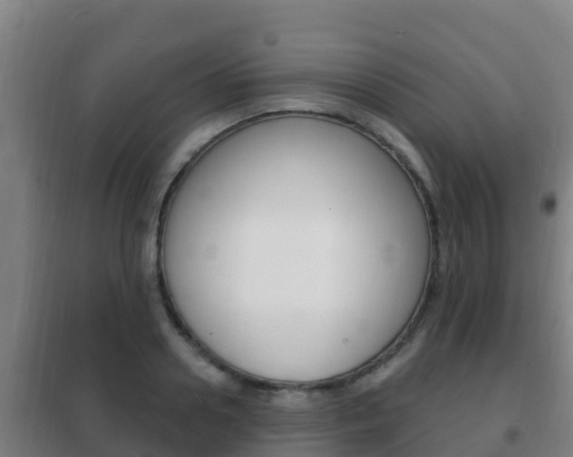 X0000102230938200807250805