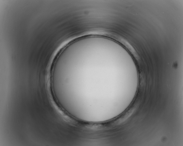 X0000102230939200807250805