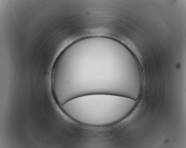 X0000102230941200807250805