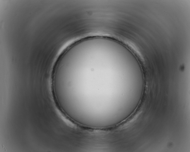 X0000102230942200807250805
