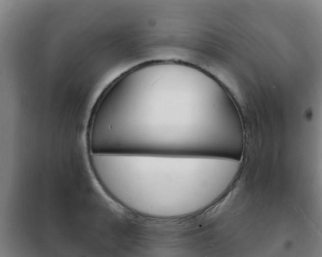 X0000102230943200807250805