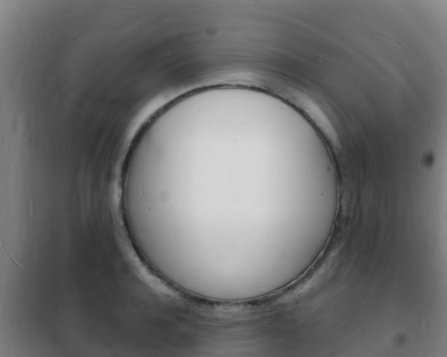 X0000102230944200807250805