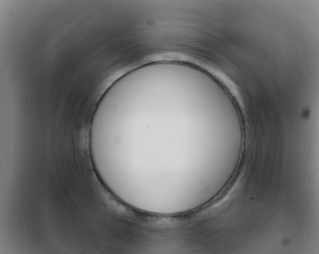 X0000102230945200807250805