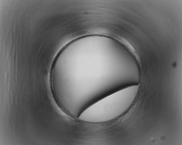X0000102230947200807250805