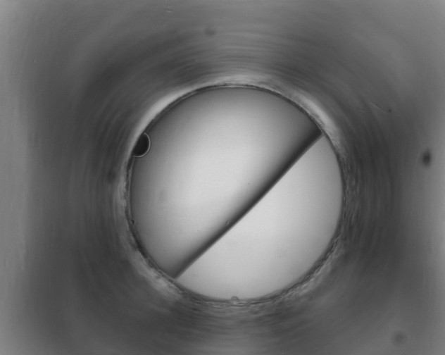 X0000102230948200807250805